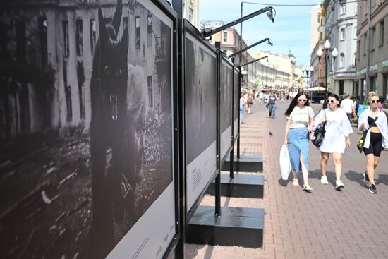 Выставка победителей Всероссийского конкурса военной фотожурналистики