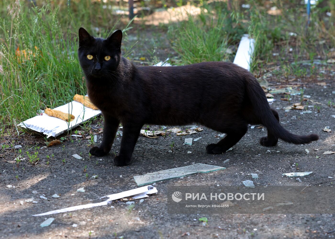 Последствия обстрелов в Белгородской области