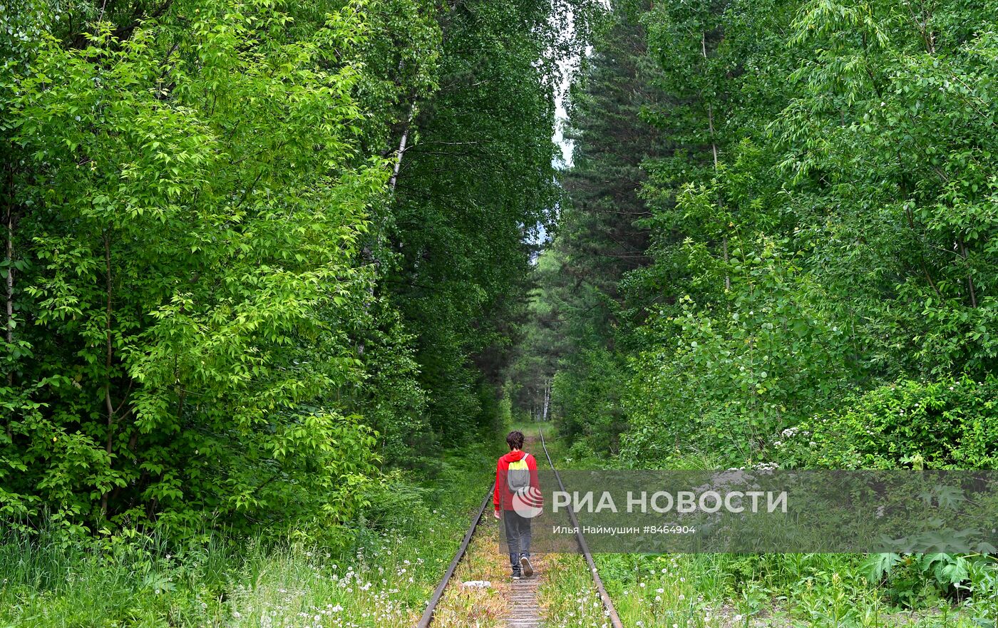 Железная дорога в тайге