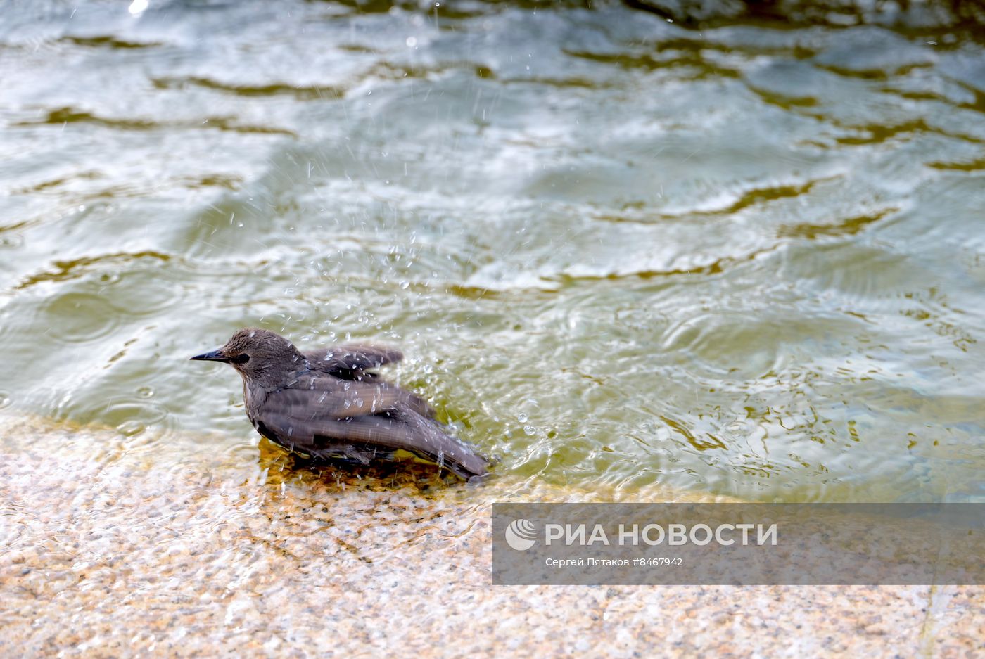 Теплая погода в Москве