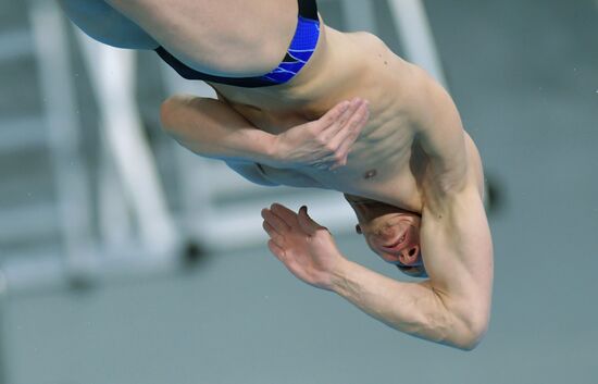 Прыжки в воду. Чемпионат России. Парные прыжки