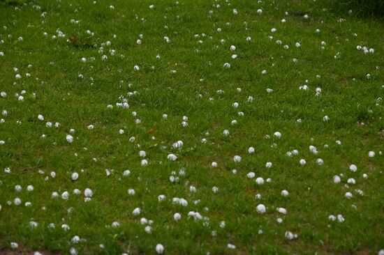 Крупный град в Омске