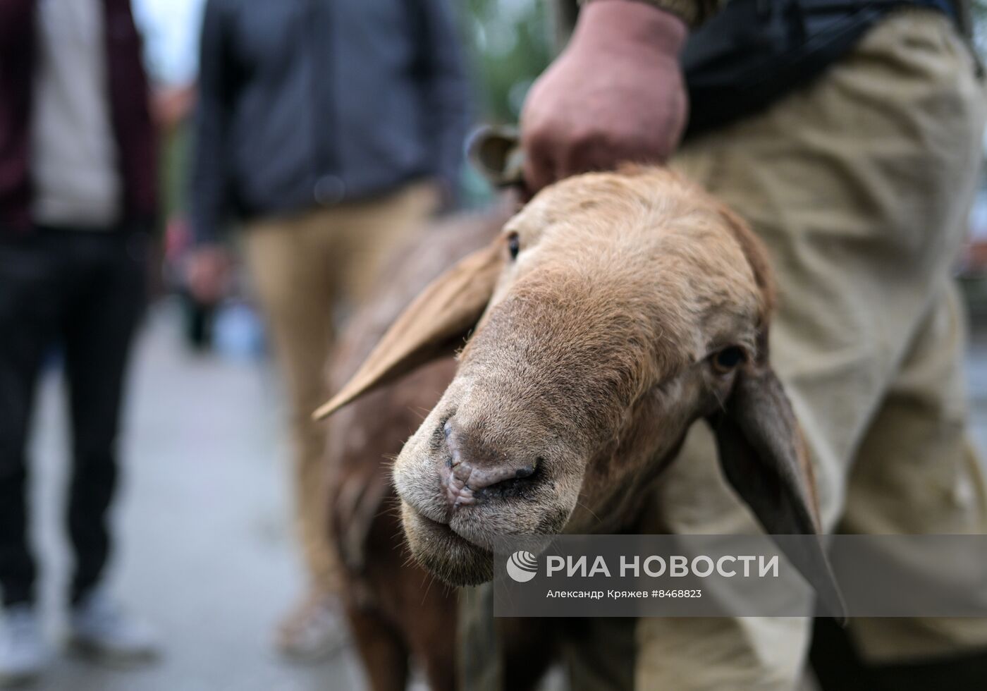 Празднование Курбан-байрама в регионах России