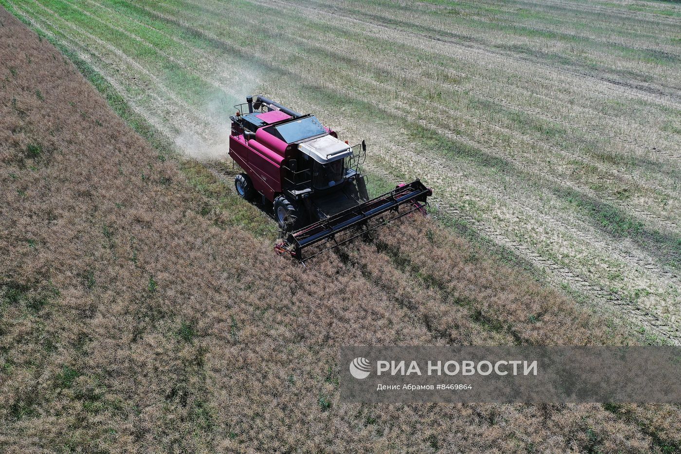 Старт уборки зерновых культур в Ставропольском крае