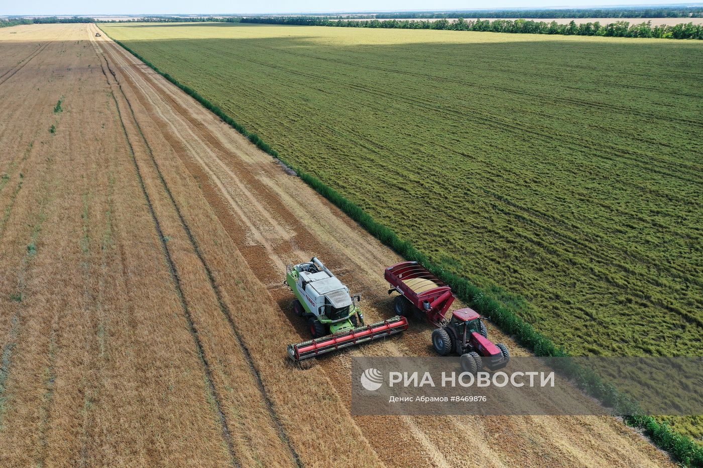 Старт уборки зерновых культур в Ставропольском крае