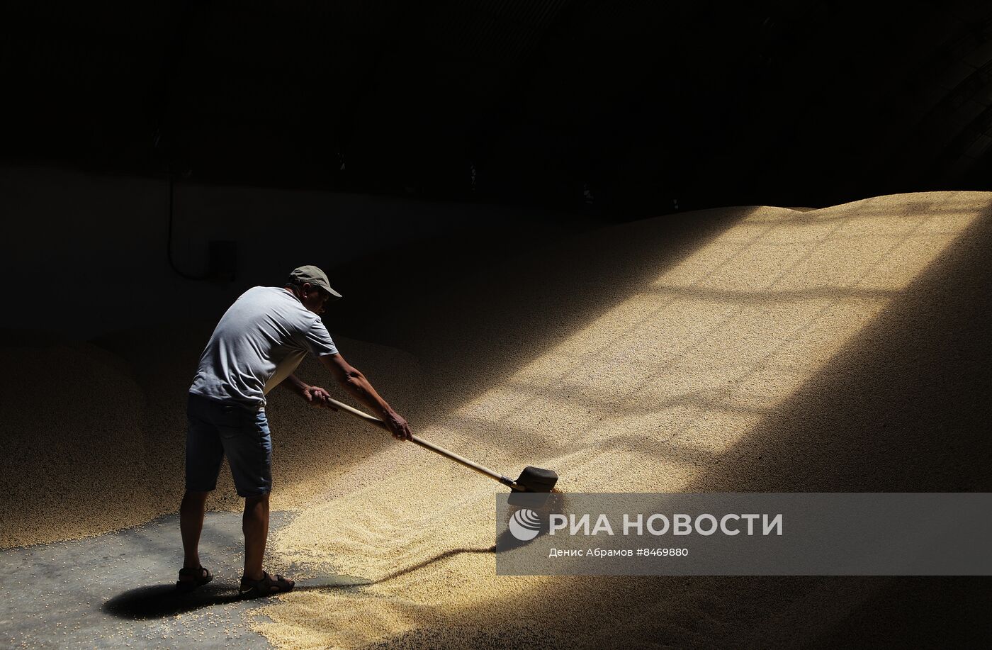 Старт уборки зерновых культур в Ставропольском крае