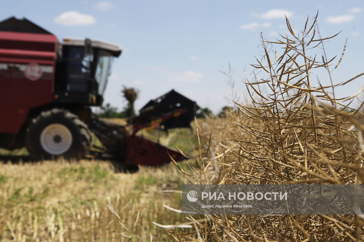 Старт уборки зерновых культур в Ставропольском крае