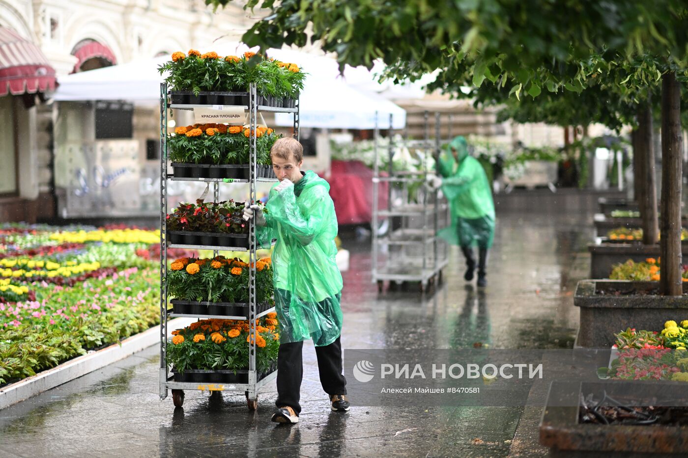 Фестиваль цветов в ГУМе