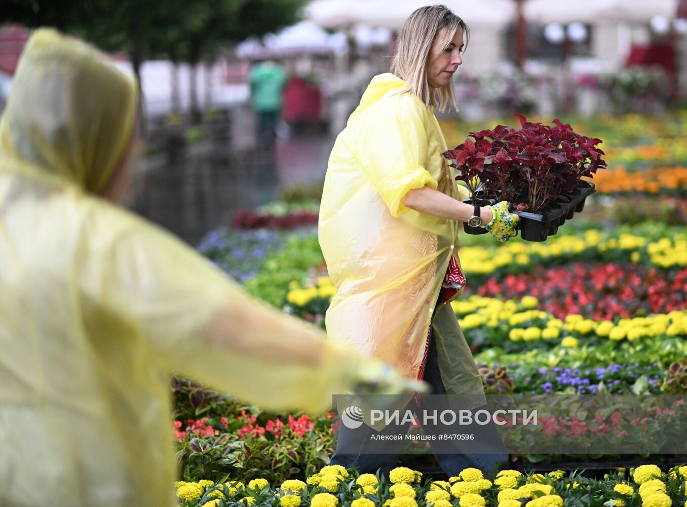 Фестиваль цветов в ГУМе