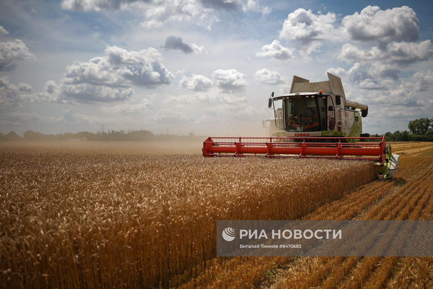 Старт уборки зерновых культур в Краснодарском крае