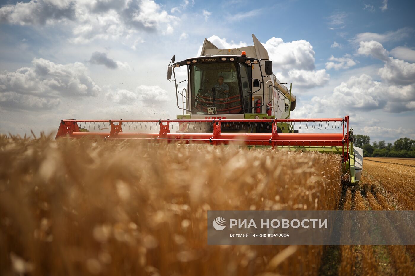 Старт уборки зерновых культур в Краснодарском крае