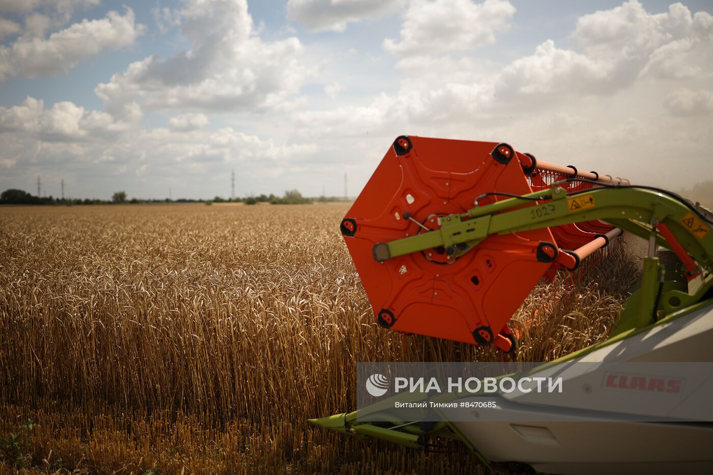 Старт уборки зерновых культур в Краснодарском крае