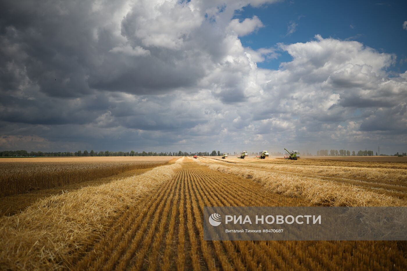 Старт уборки зерновых культур в Краснодарском крае