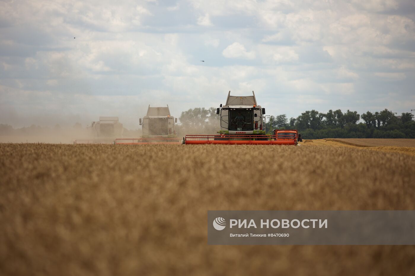 Старт уборки зерновых культур в Краснодарском крае