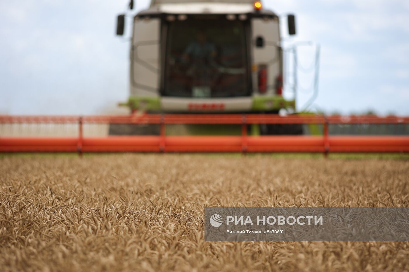 Старт уборки зерновых культур в Краснодарском крае