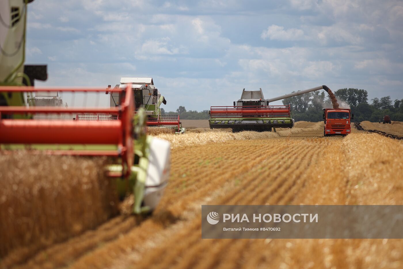 Старт уборки зерновых культур в Краснодарском крае