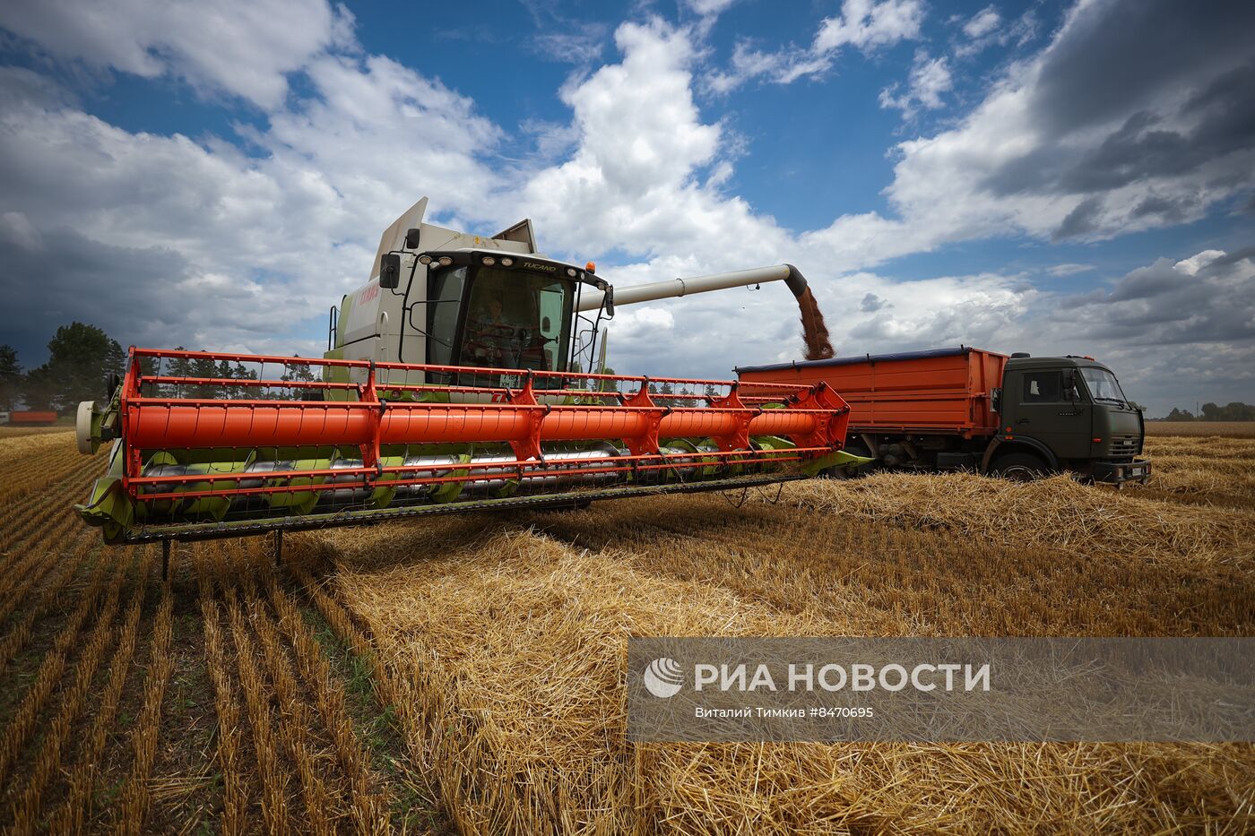 Старт уборки зерновых культур в Краснодарском крае