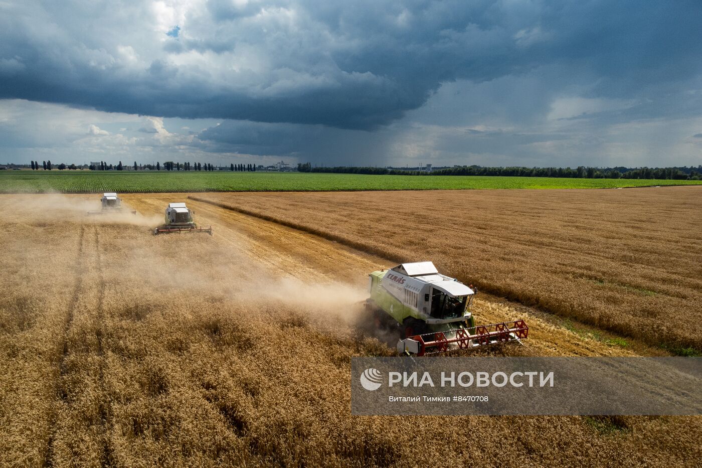 Старт уборки зерновых культур в Краснодарском крае