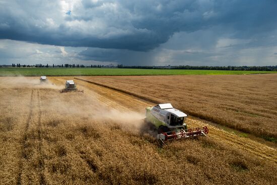 Старт уборки зерновых культур в Краснодарском крае