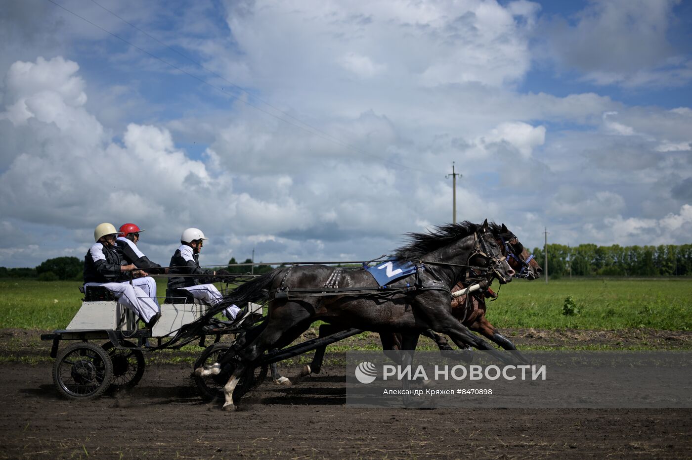 Cоревнования по конным скачкам в Новосибирской области