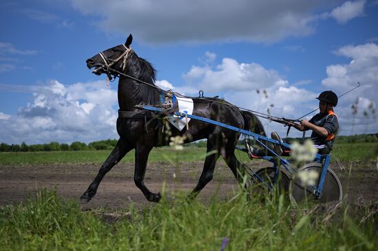 Cоревнования по конным скачкам в Новосибирской области