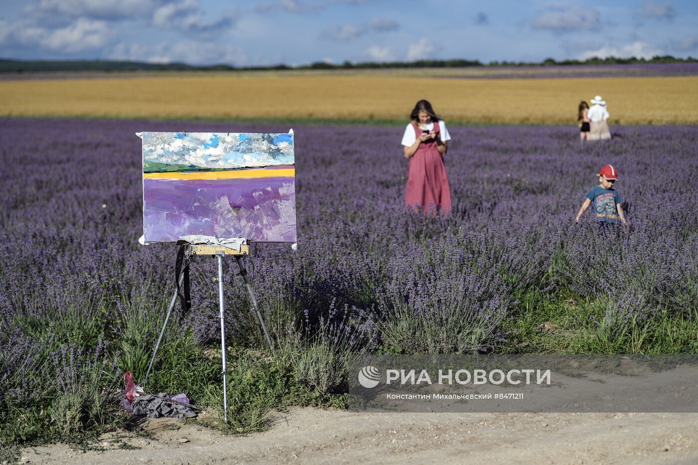 Лавандовые поля в Крыму