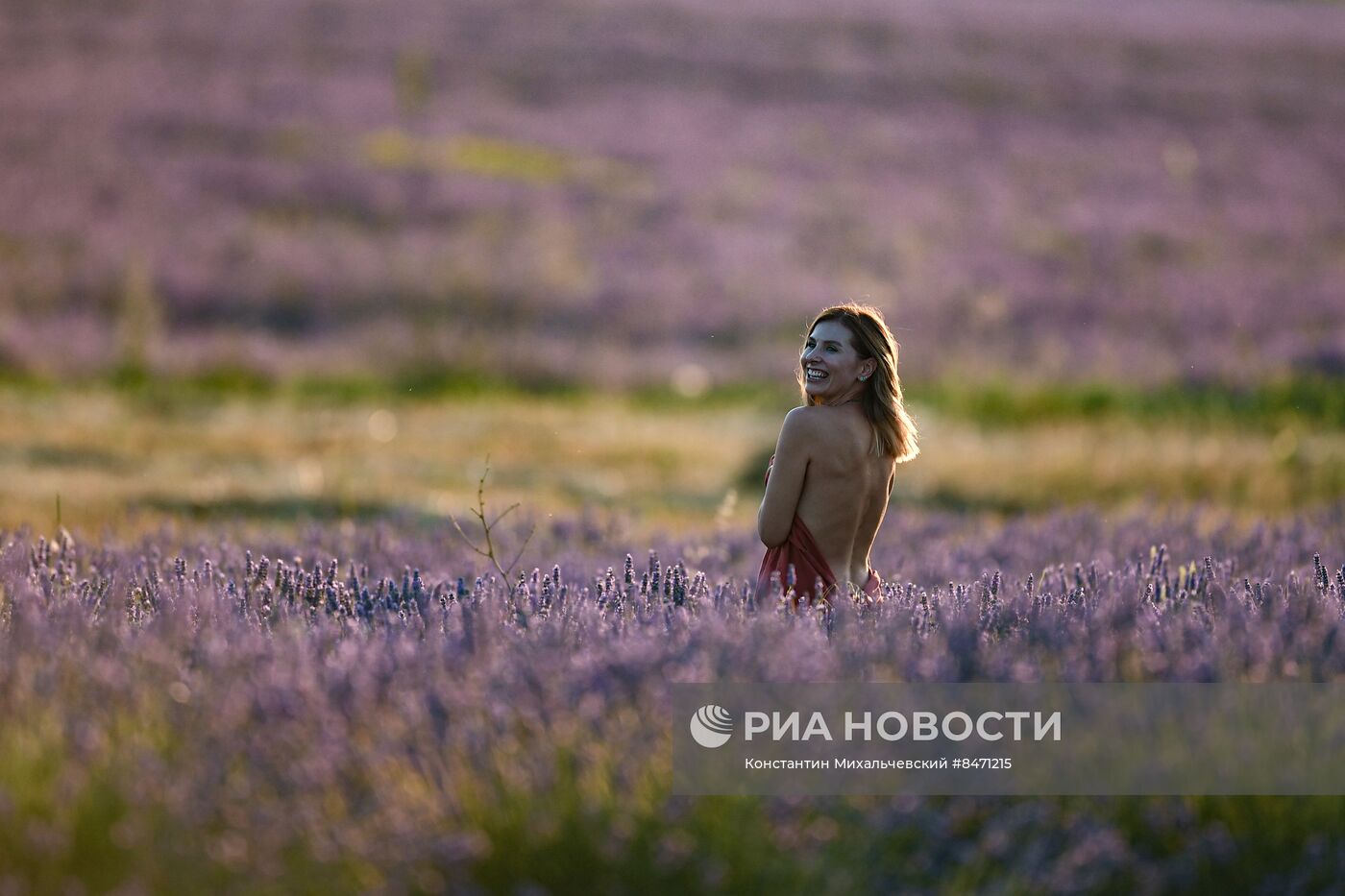 Лавандовые поля в Крыму