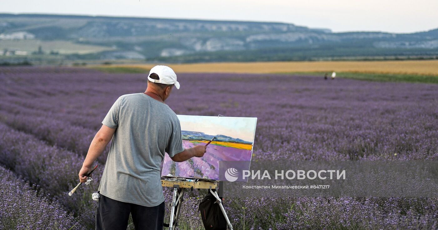 Лавандовые поля в Крыму