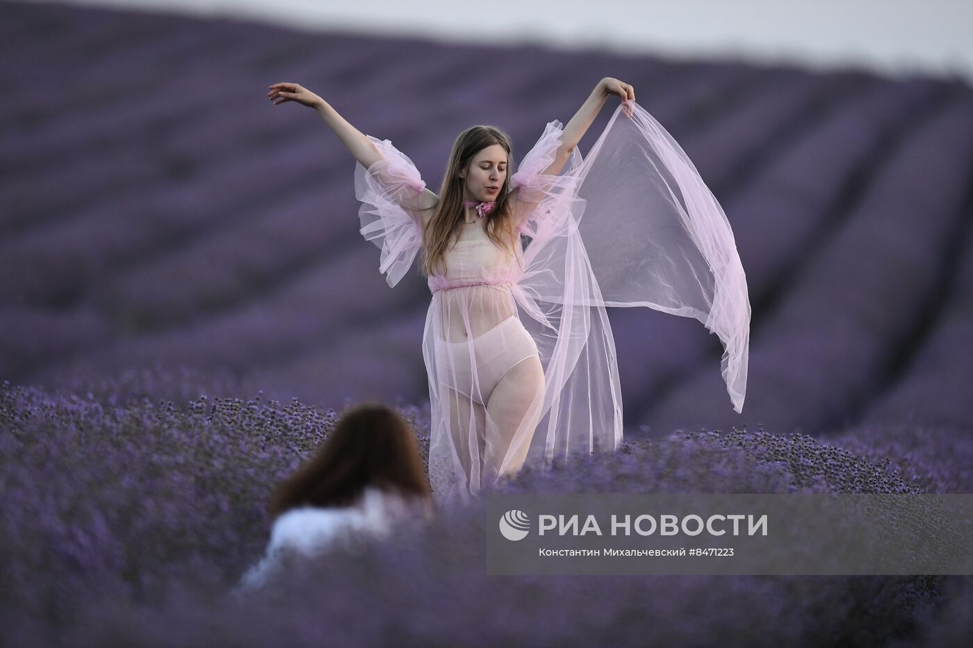 Лавандовые поля в Крыму