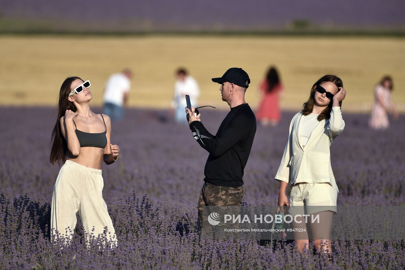 Лавандовые поля в Крыму