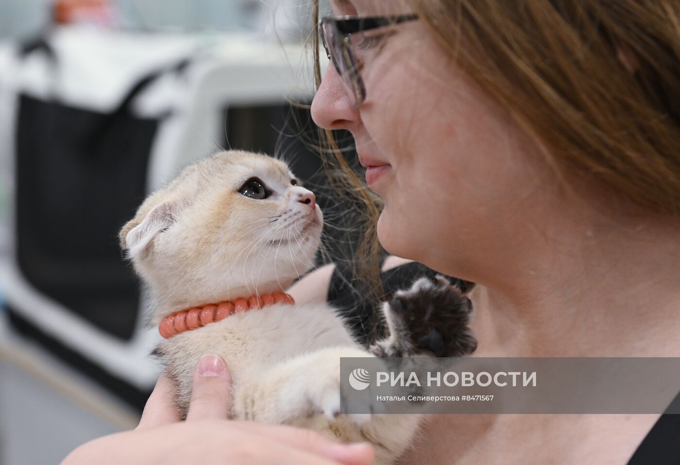 Выставка "КоШарики Шоу" в Москве