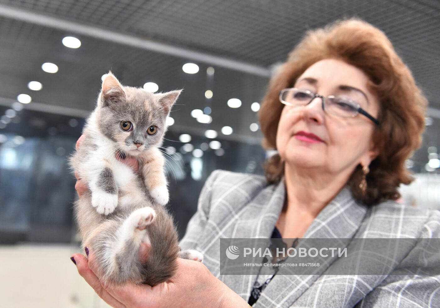 Выставка "КоШарики Шоу" в Москве