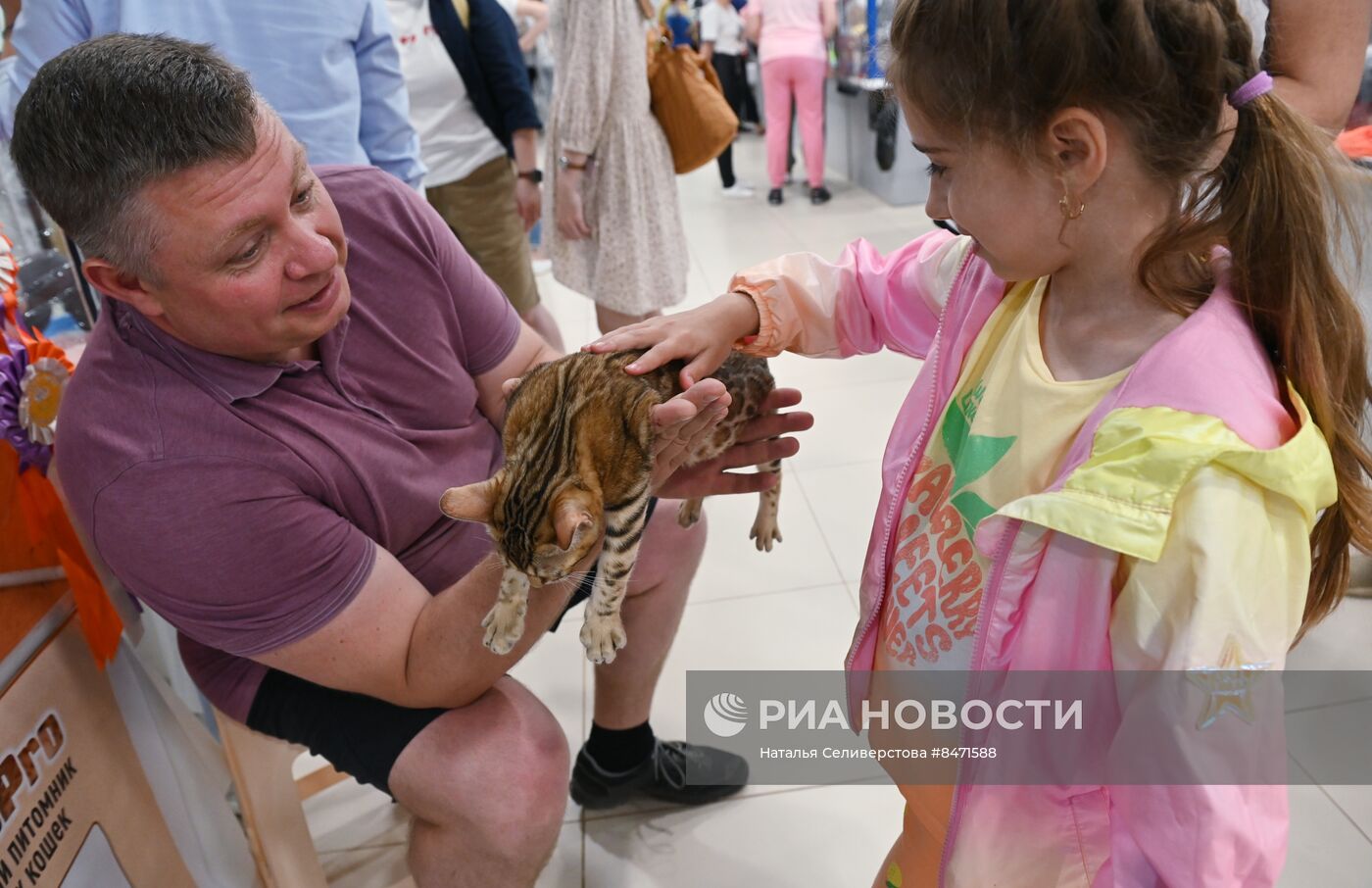 Выставка "КоШарики Шоу" в Москве