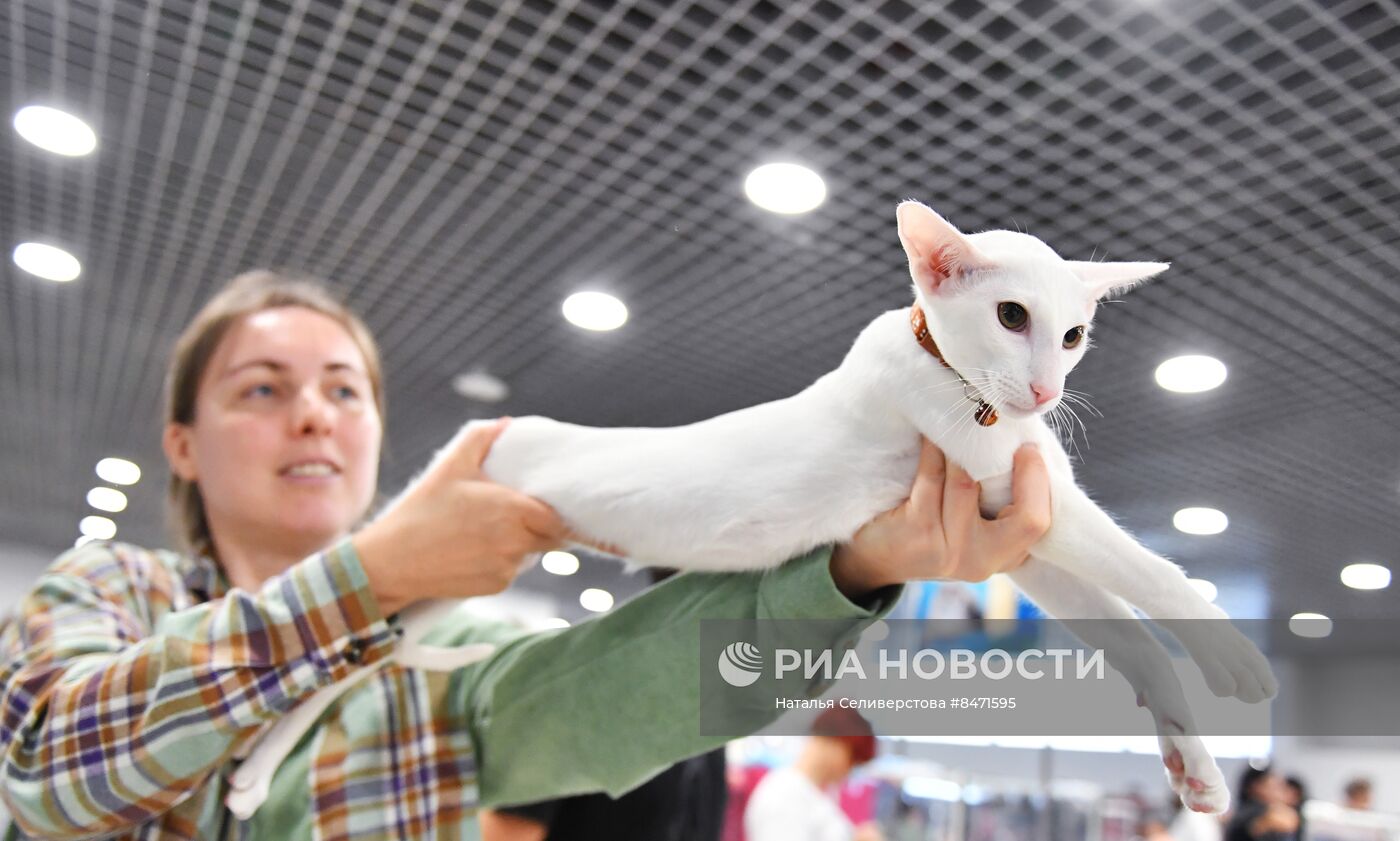 Выставка "КоШарики Шоу" в Москве