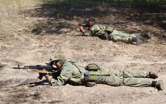 Боевая работа отрядов разведки и спецназа в южном секторе СВО