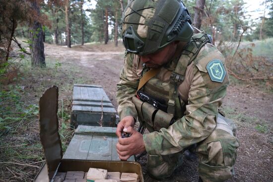 Боевая работа отрядов разведки и спецназа в южном секторе СВО