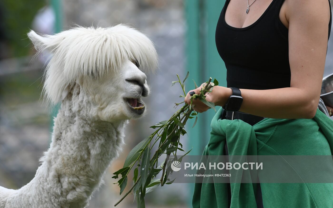 Парк флоры и фауны "Роев ручей" в Красноярске
