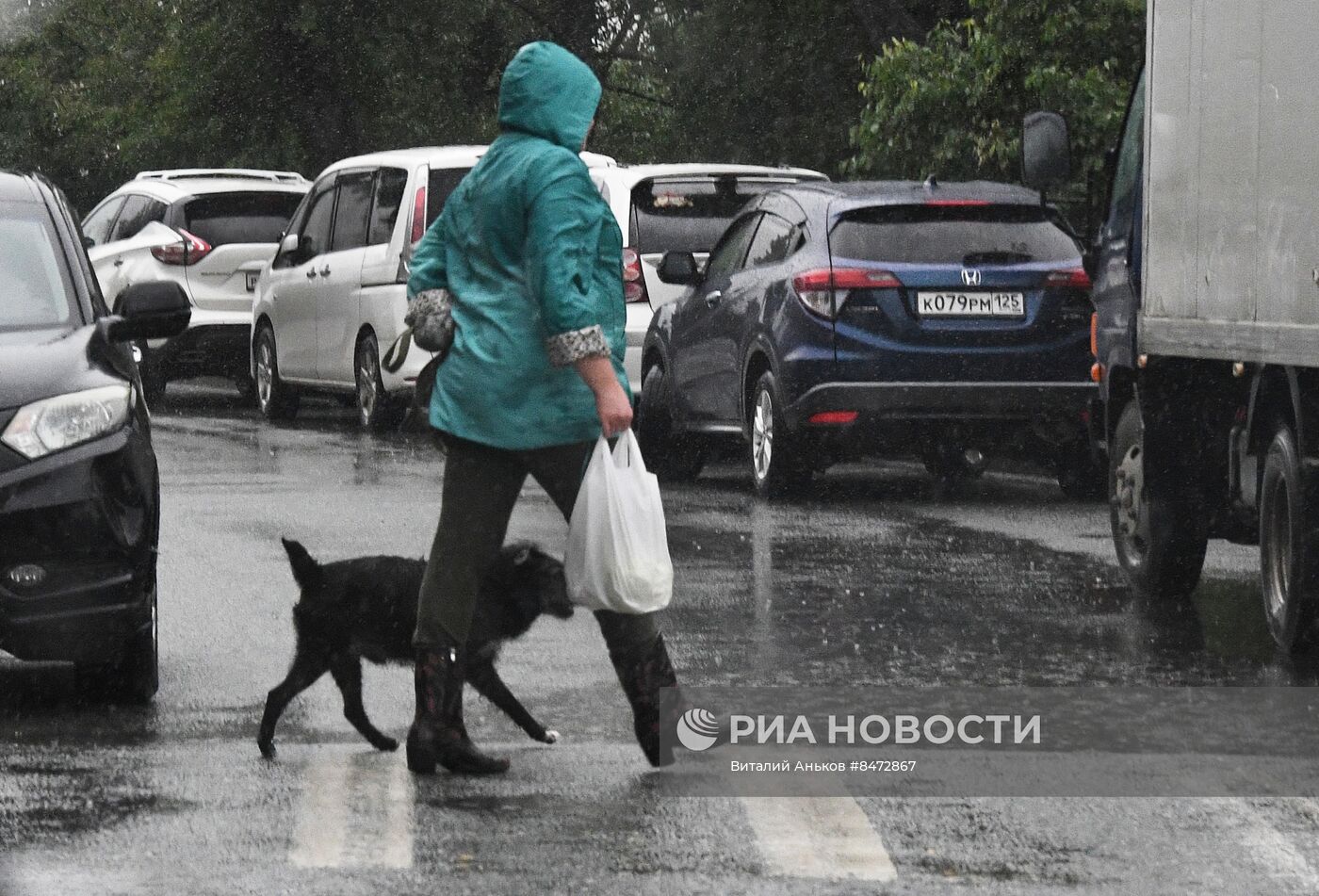 Дождь во Владивостоке