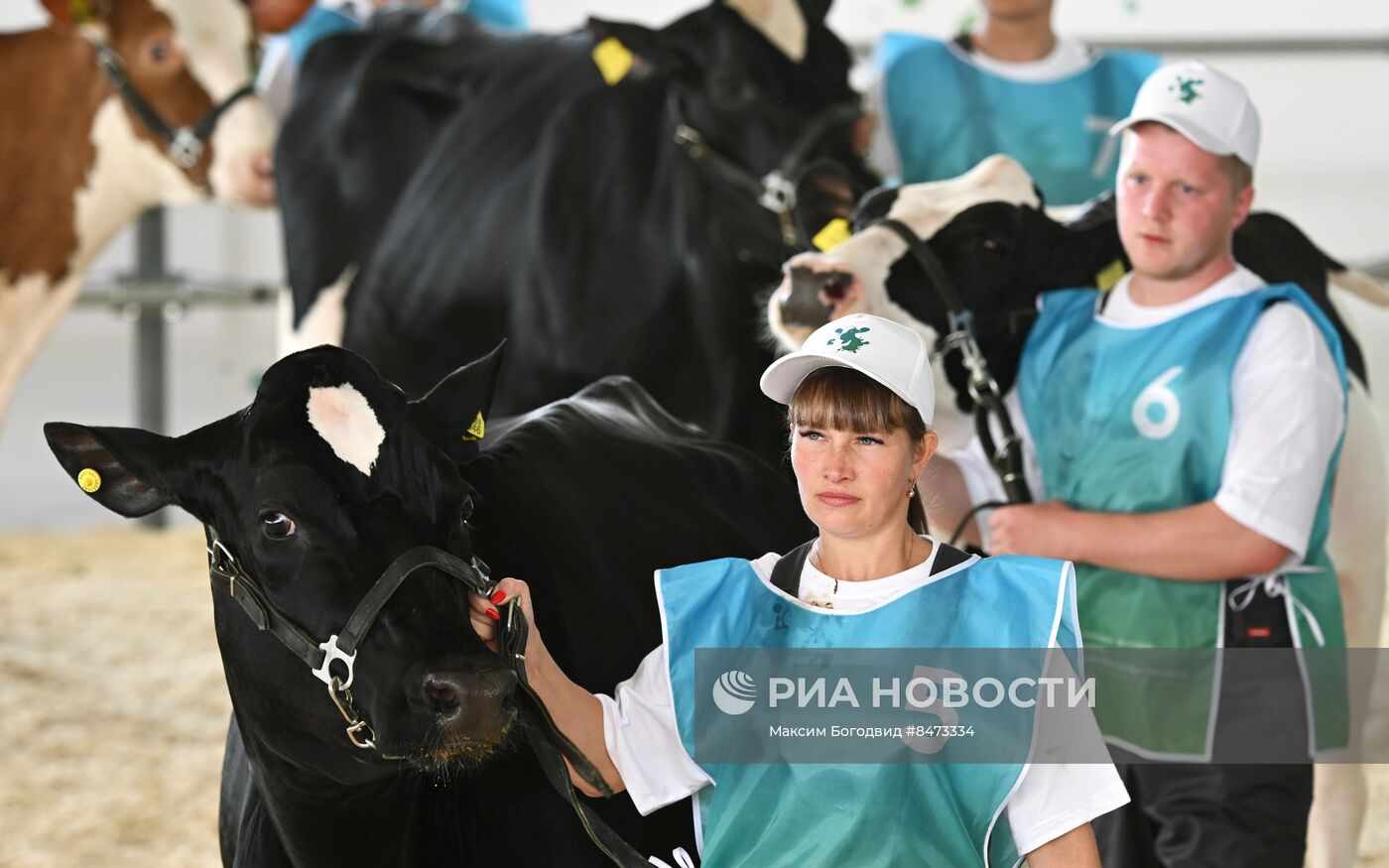 Агропромышленная выставка "Всероссийский день поля" в Татарстане