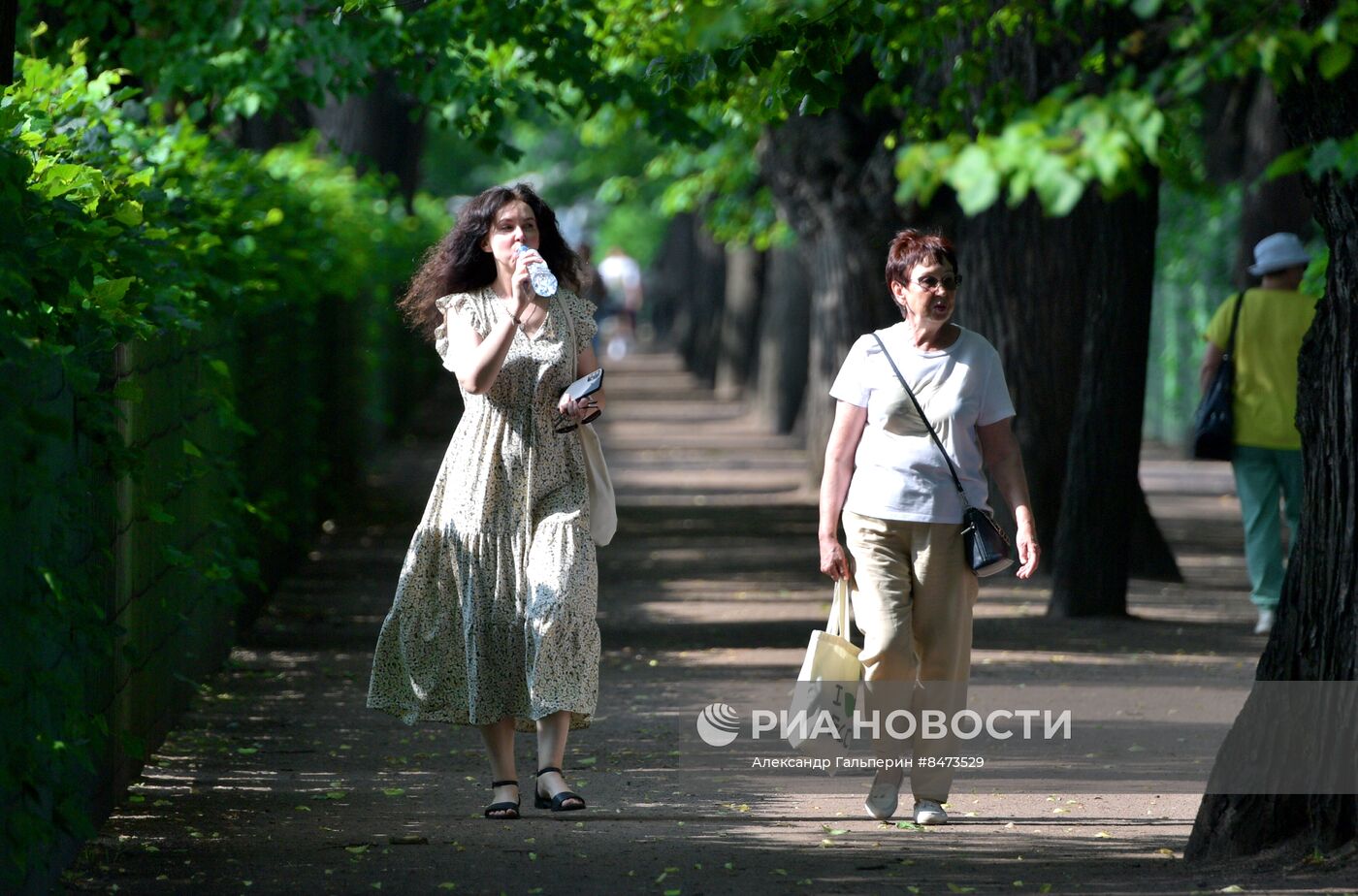 Лето в Санкт-Петербурге