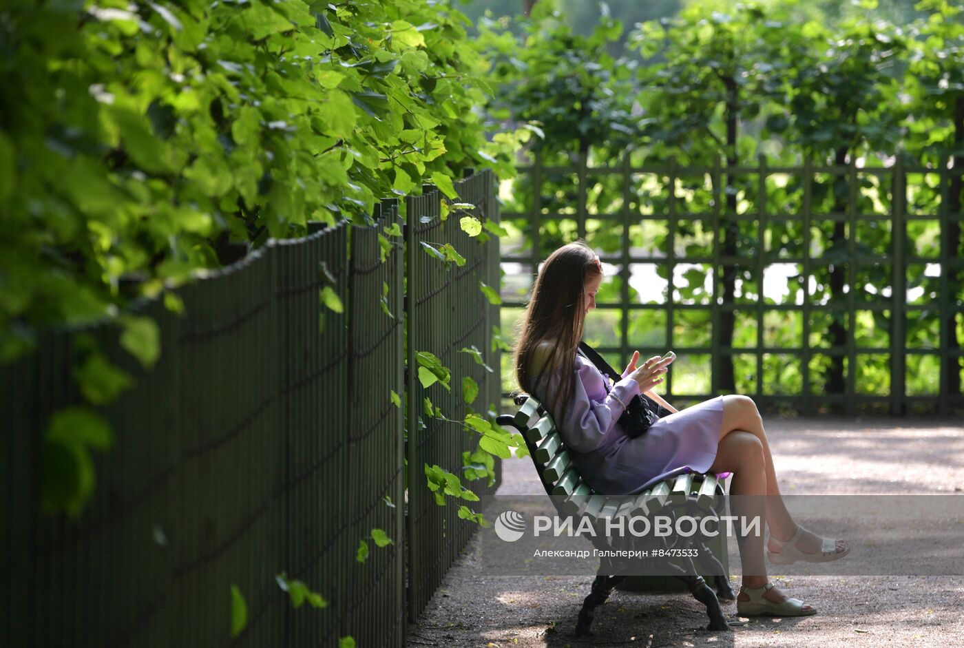 Лето в Санкт-Петербурге