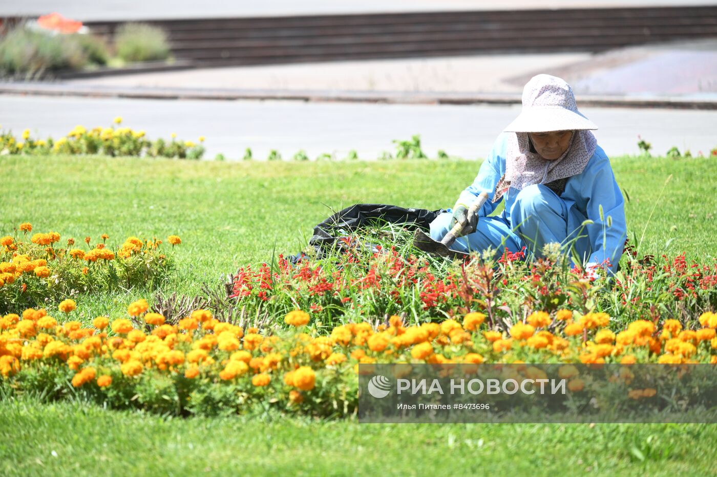 Узбекистан в преддверии досрочных выборов президента