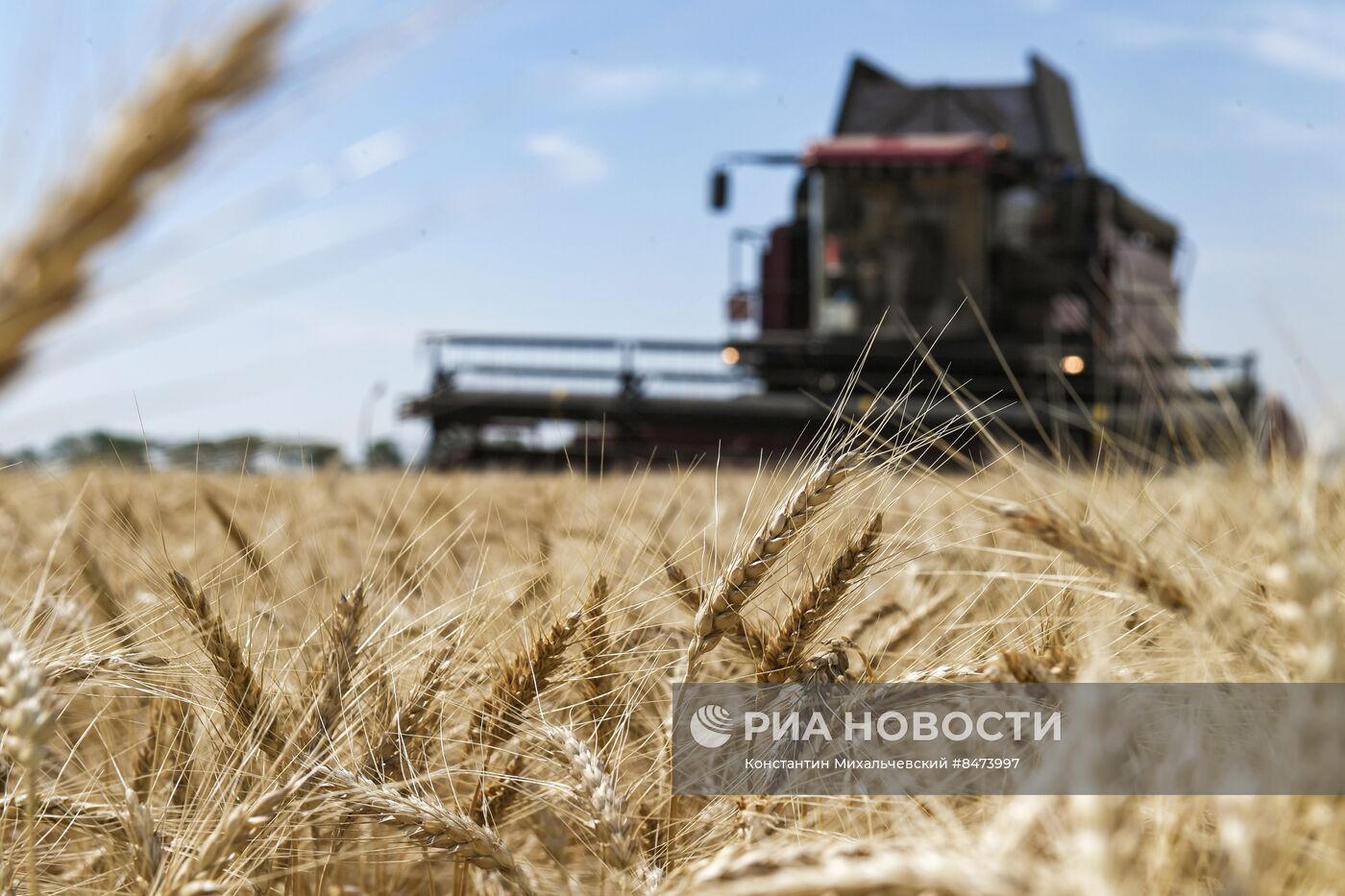 Уборка зерновых культур в Крыму