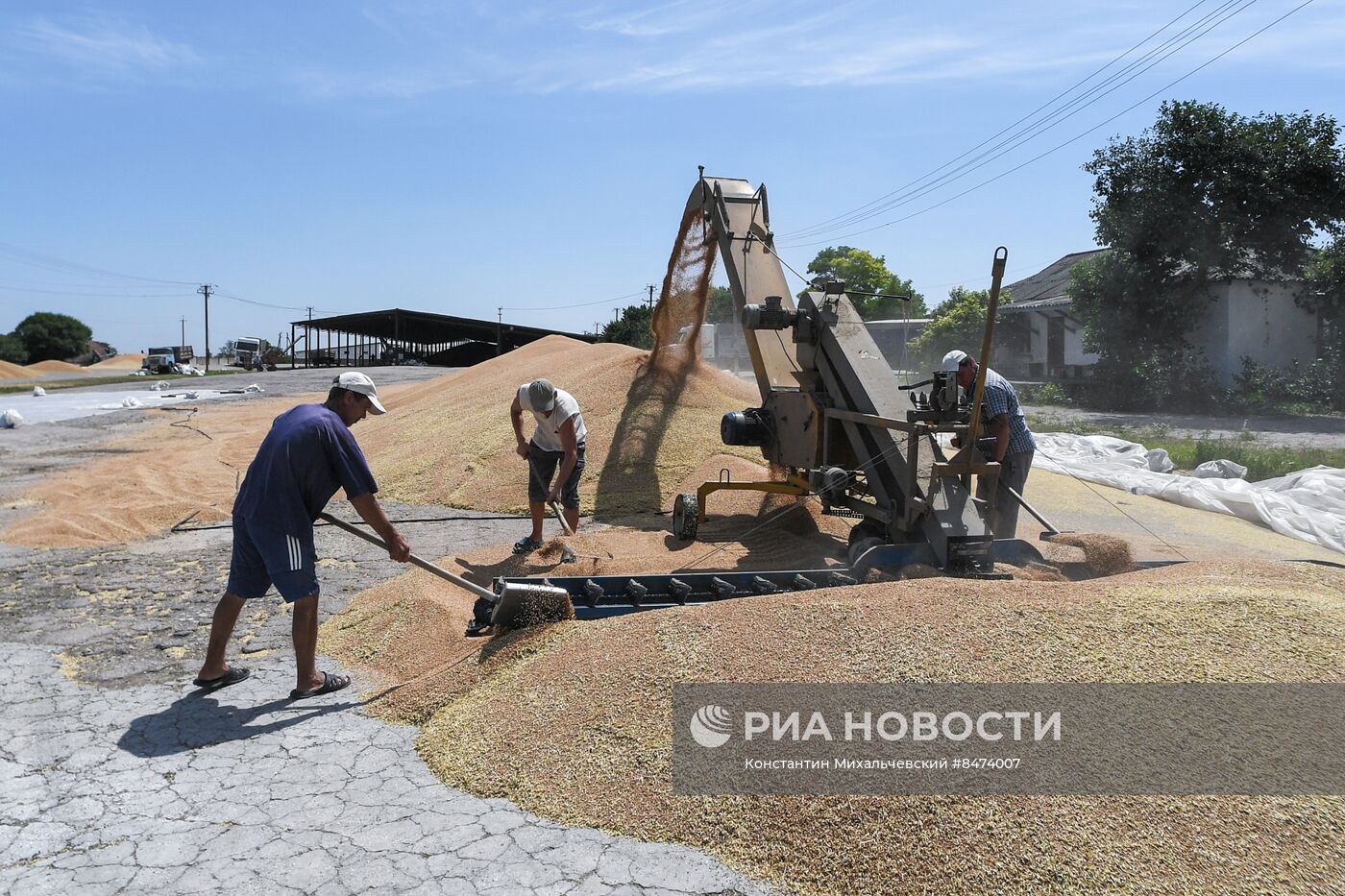 Уборка зерновых культур в Крыму