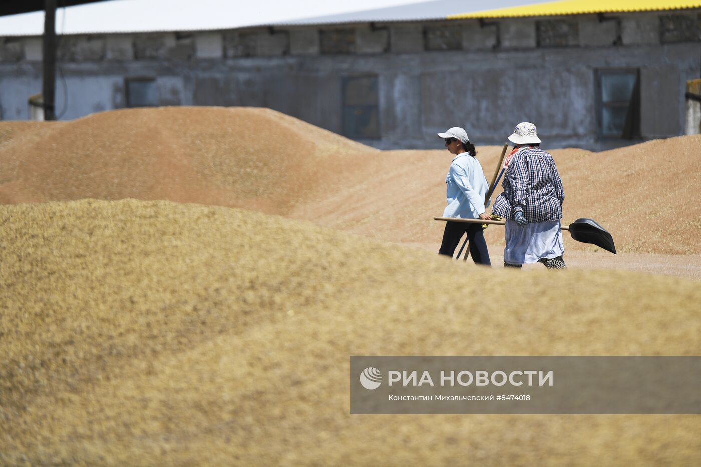 Уборка зерновых культур в Крыму