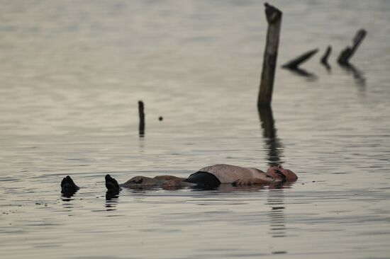 Отдых на озере с лечебной грязью Чокрак в Крыму