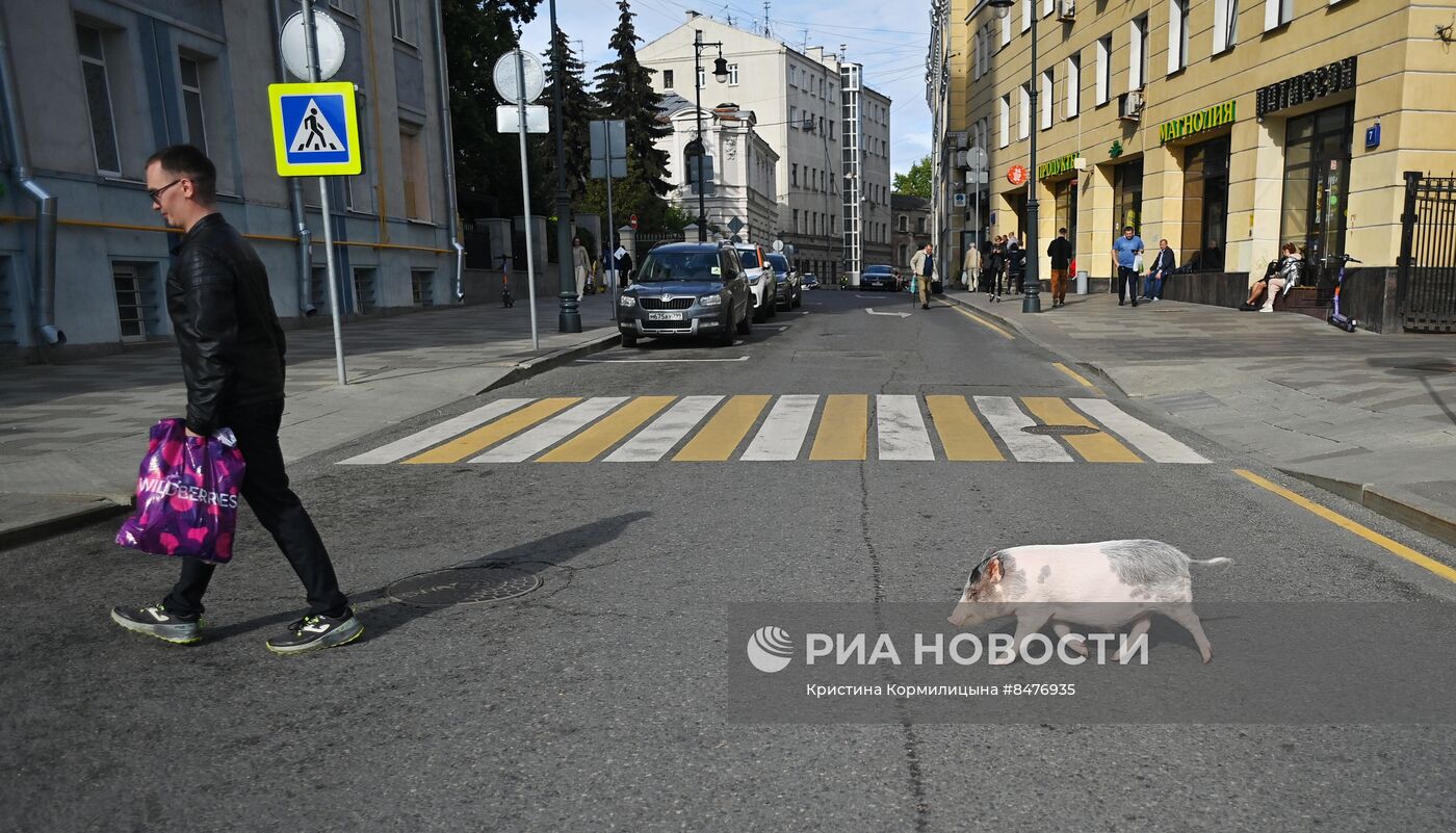 Повседневная жизнь в Москве