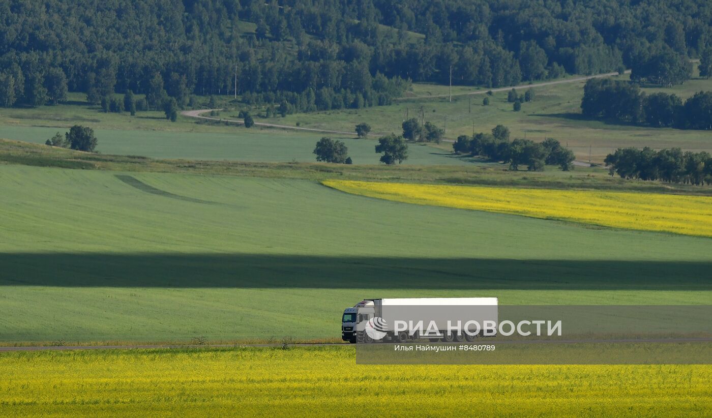Поля Красноярского края