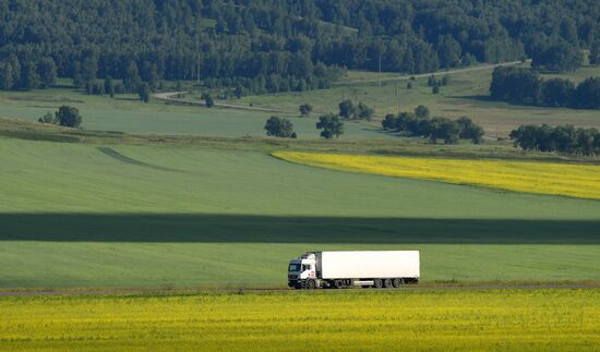 Поля Красноярского края
