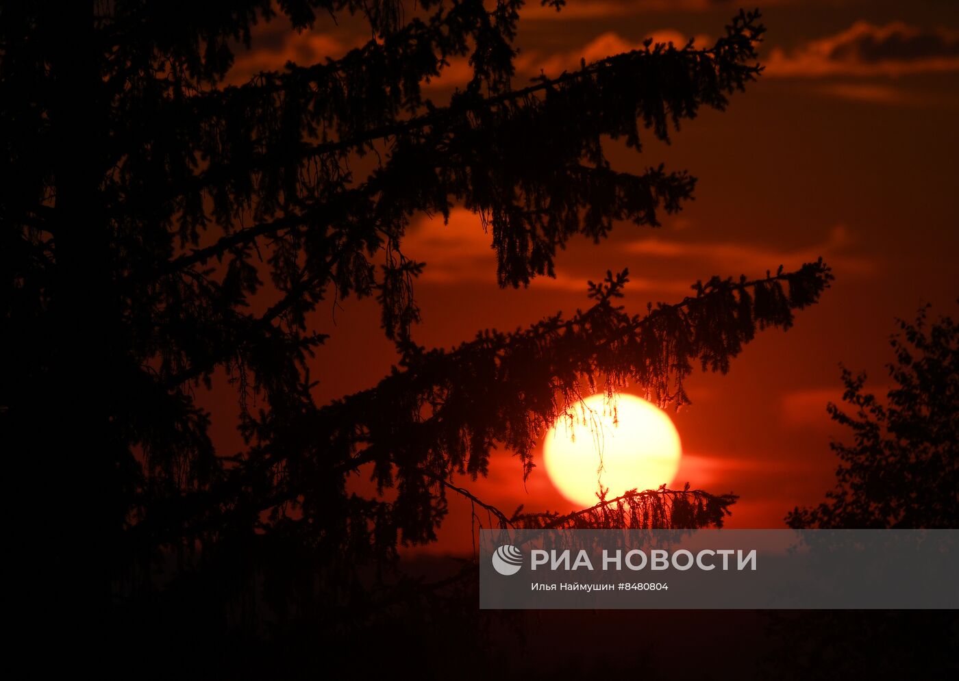 Поля Красноярского края